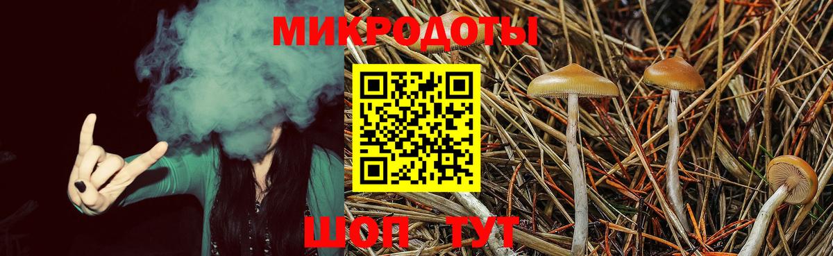 Галлюциногенные грибы Cubensis Светлоград