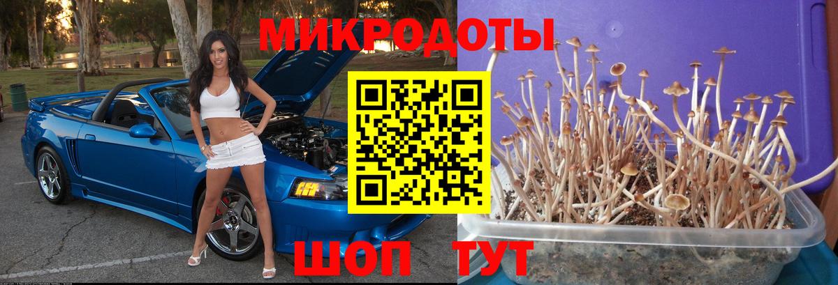 Конопля Светлоград