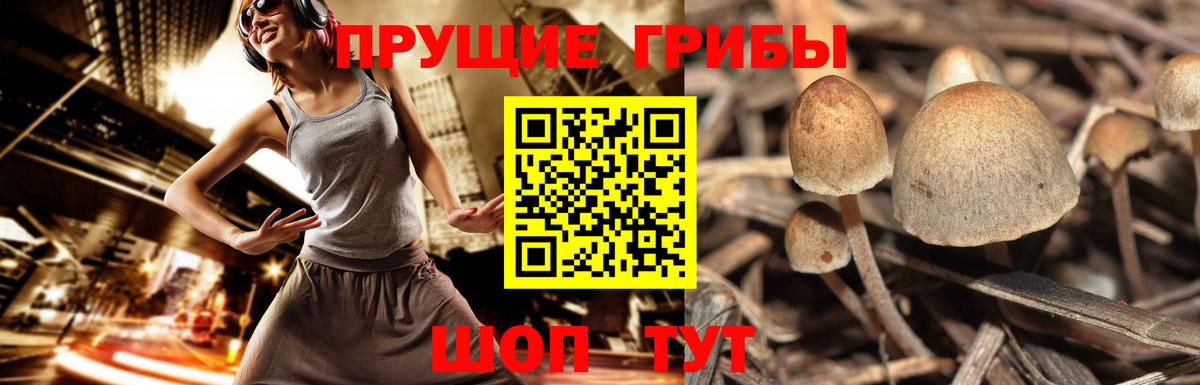 Светлоград  Меф МЯУ МЯУ кристаллы  Вход с VPN  Магазин наркотиков  КОКАИН  Меф МЯУ МЯУ  Бошки Шишки  ГАШ 