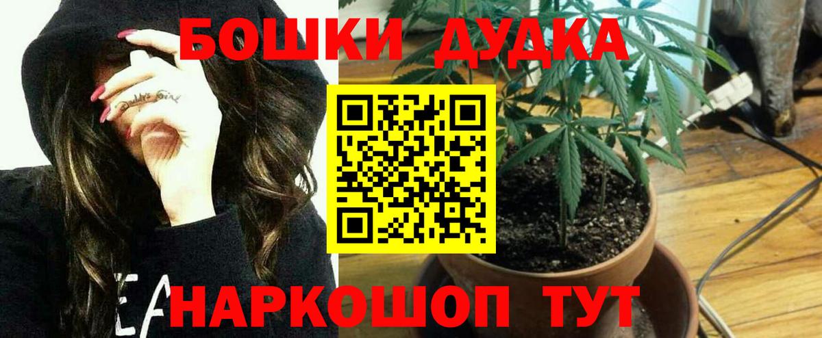 Бошки марихуана семена Светлоград